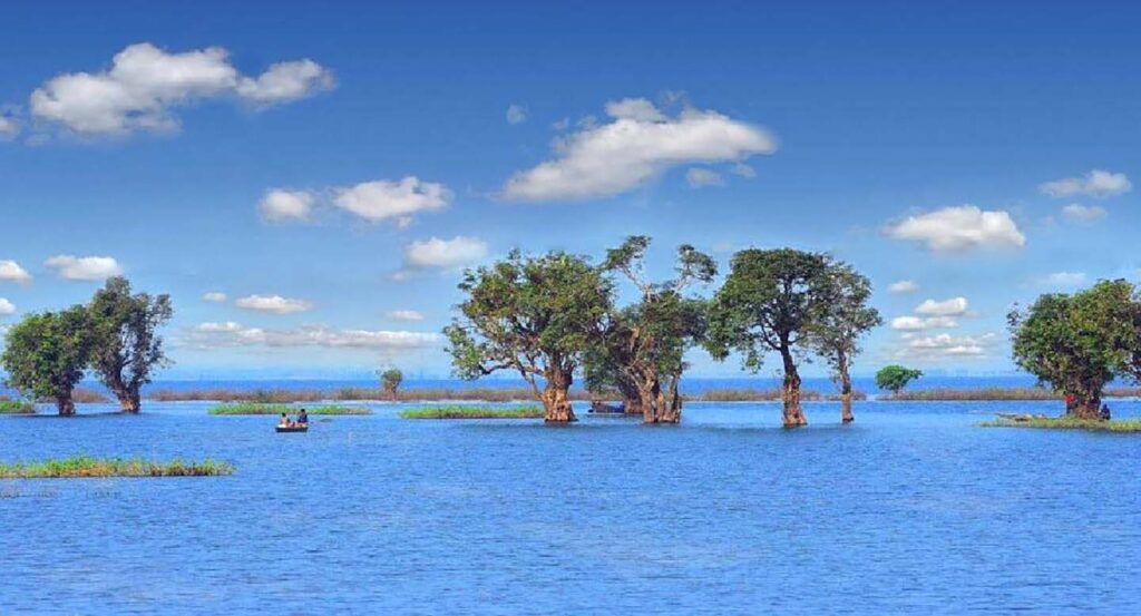 Tanguar Haor Sunamganj